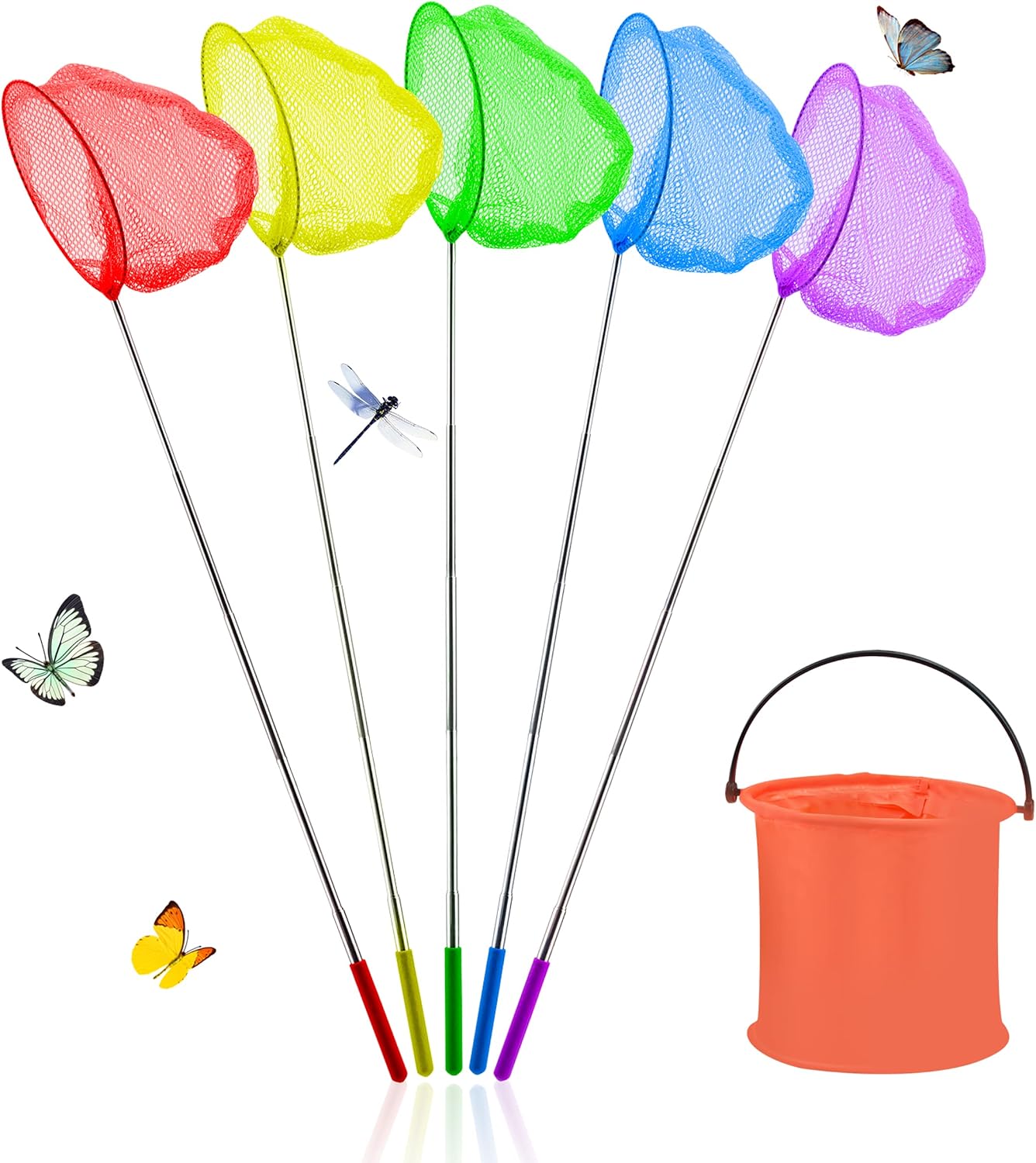 Rock Pool Nets & Collapsible Bucket Set